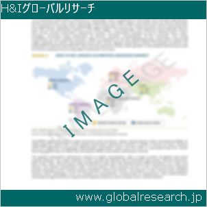 グローバルリサーチ調査レポートのイメージ